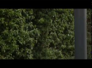 Заманил красивую студентку в парк и занялся с ней сексом